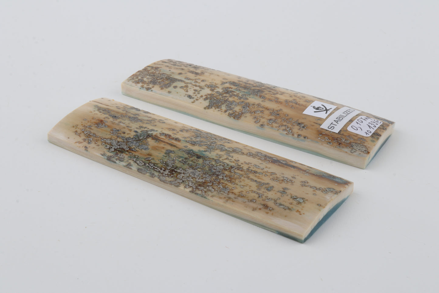 Stabilised mammoth bark scales