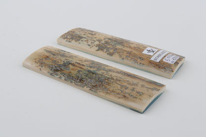 Stabilised mammoth bark scales