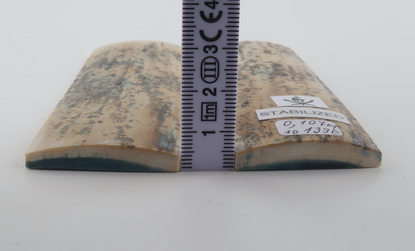 Stabilised mammoth bark scales