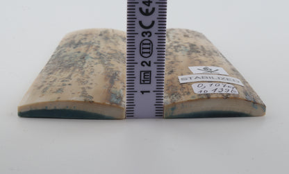 Stabilised mammoth bark scales