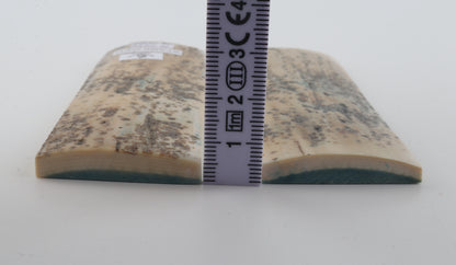 Stabilised mammoth bark scales