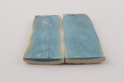 Stabilised mammoth bark scales