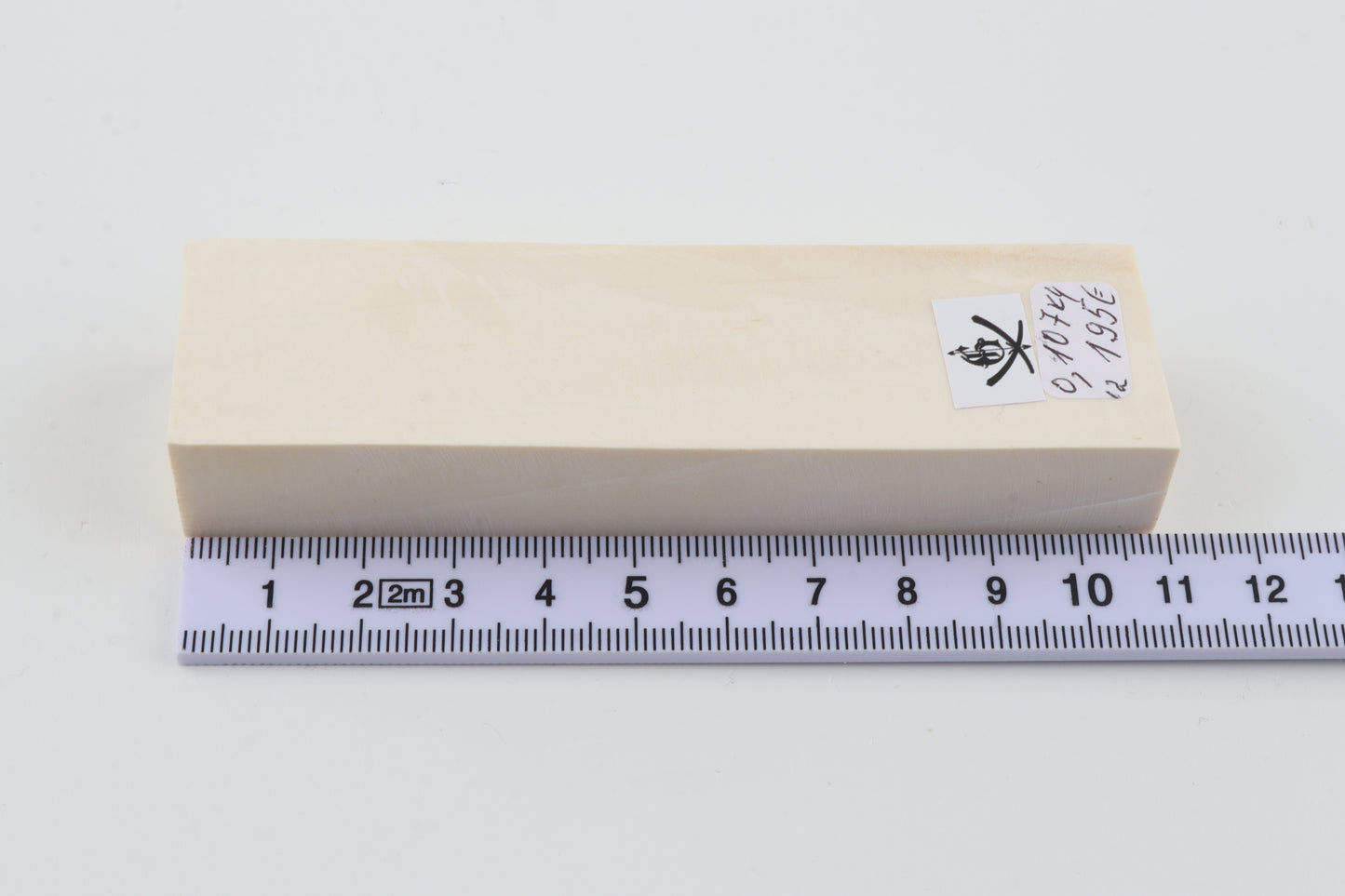 White mammoth ivory segment