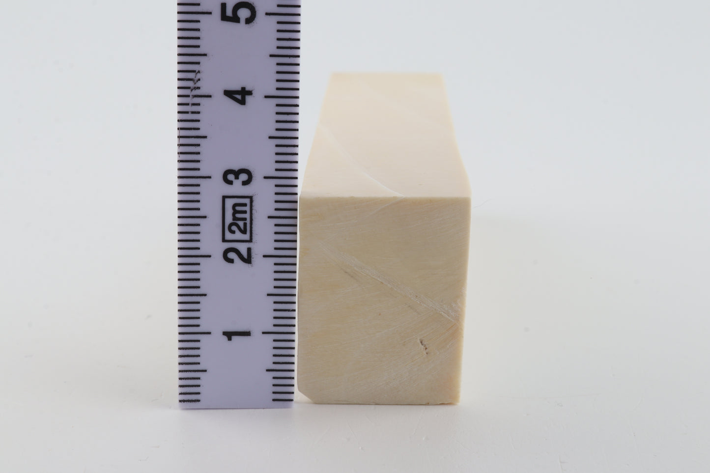 White mammoth ivory segment