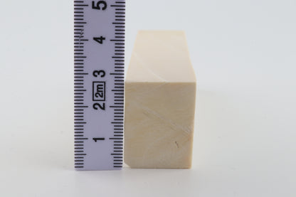 White mammoth ivory segment