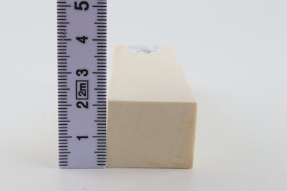 White mammoth ivory segment