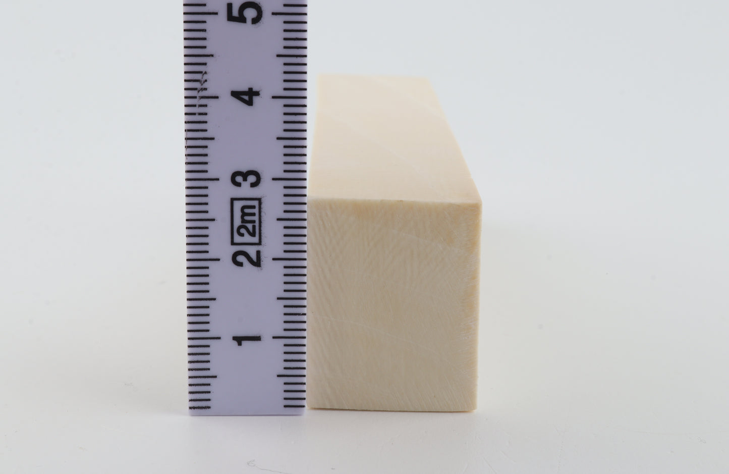 White mammoth ivory segment