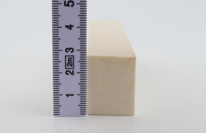 White mammoth ivory segment