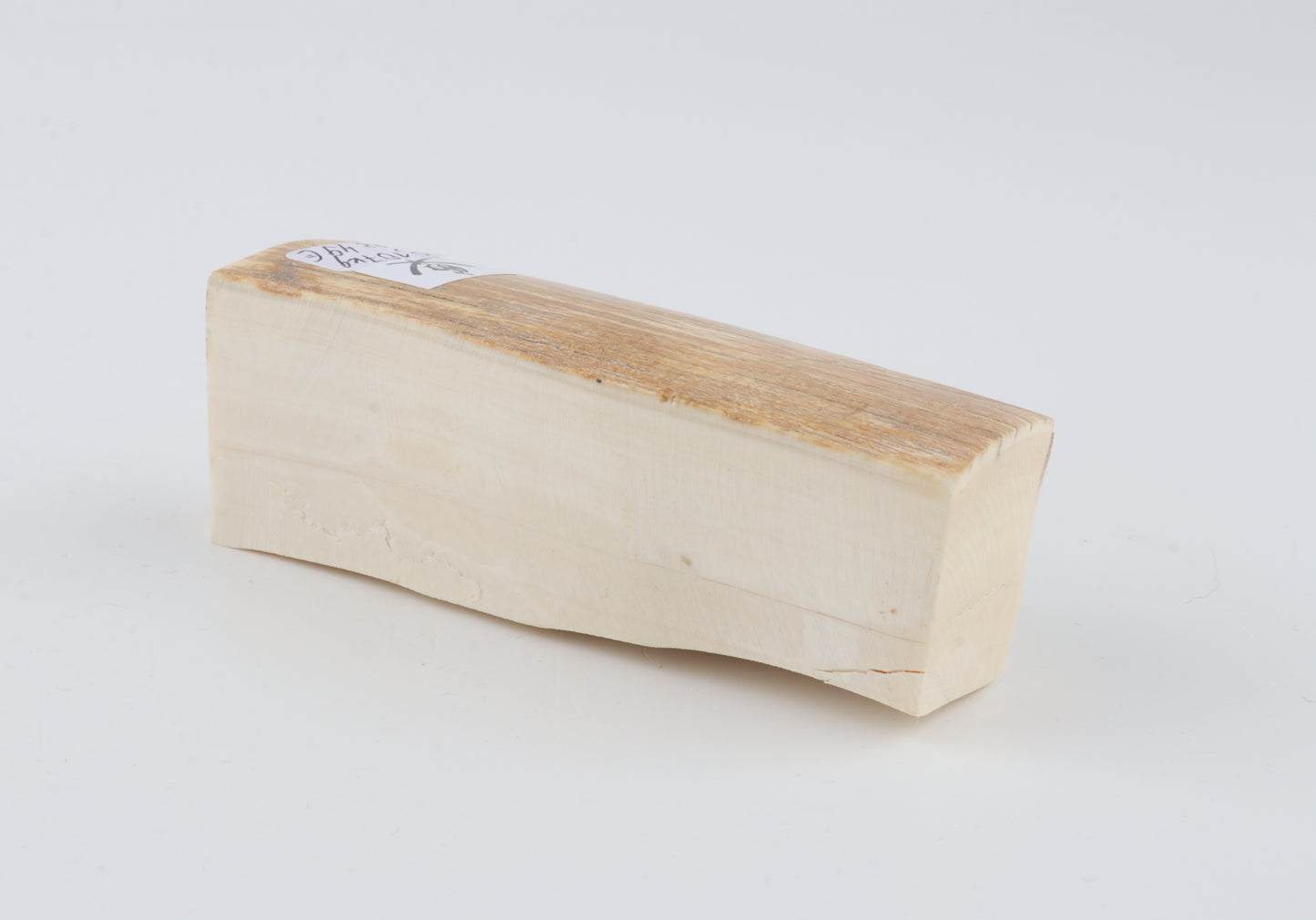 Natural mammoth ivory piece