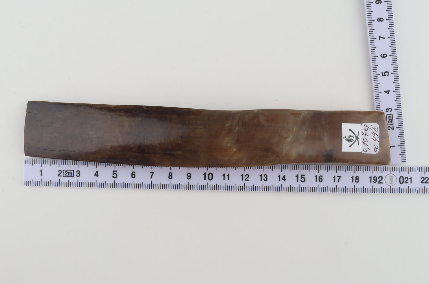 Beige-brown mammoth bark