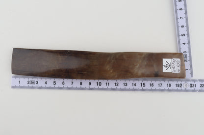 Beige-brown mammoth bark