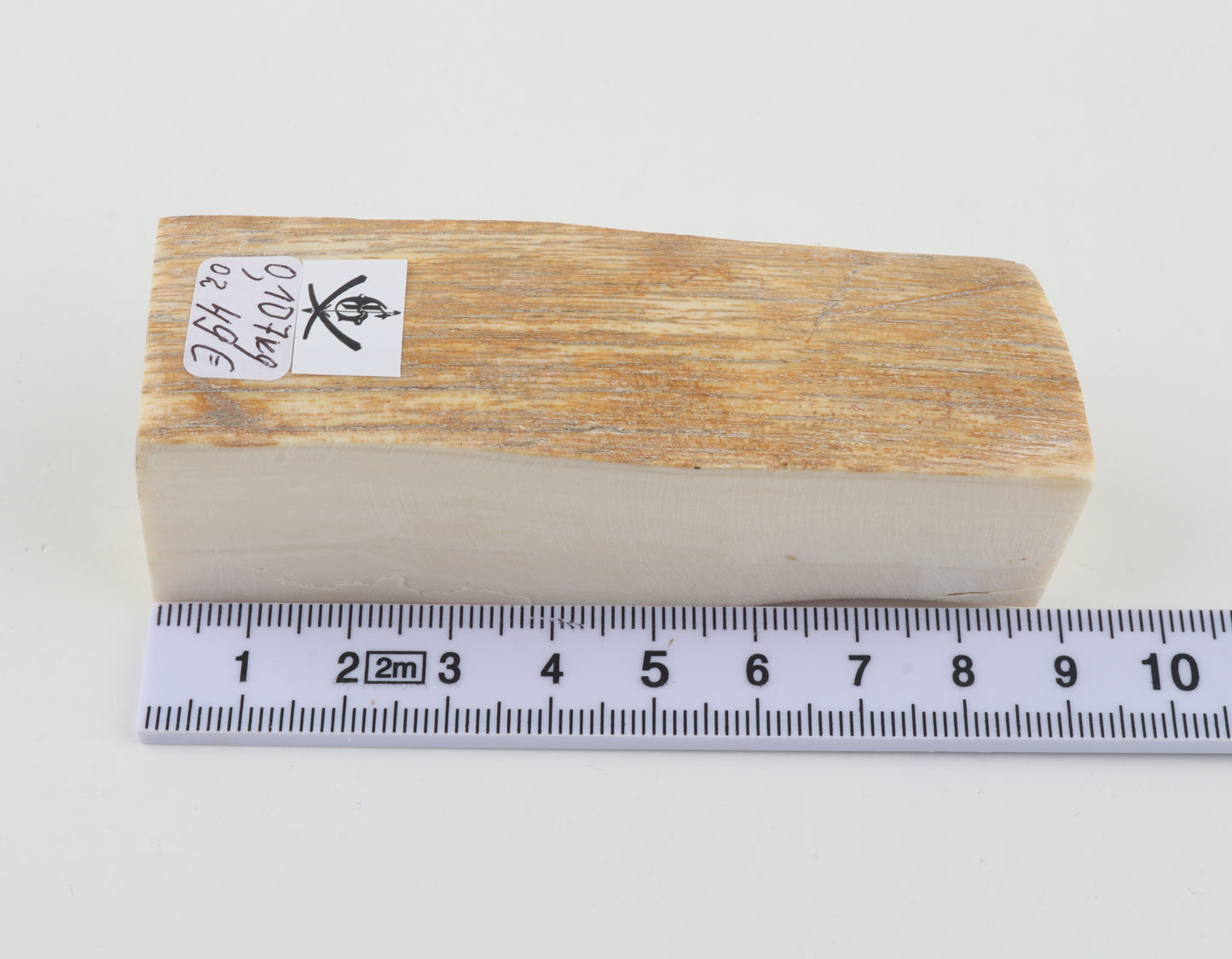 Natural mammoth ivory piece