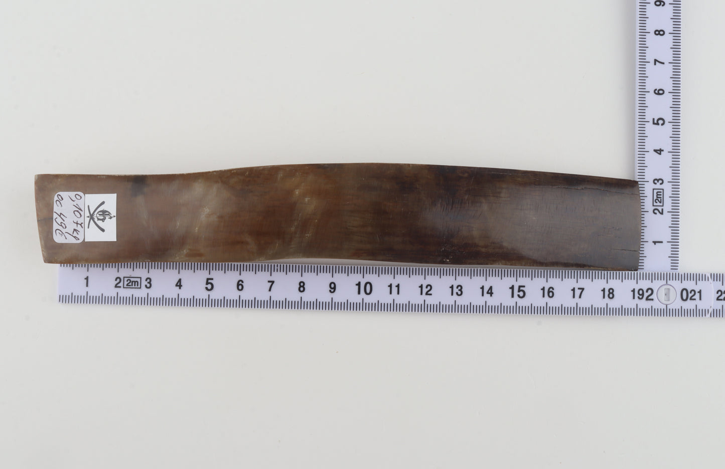 Beige-brown mammoth bark