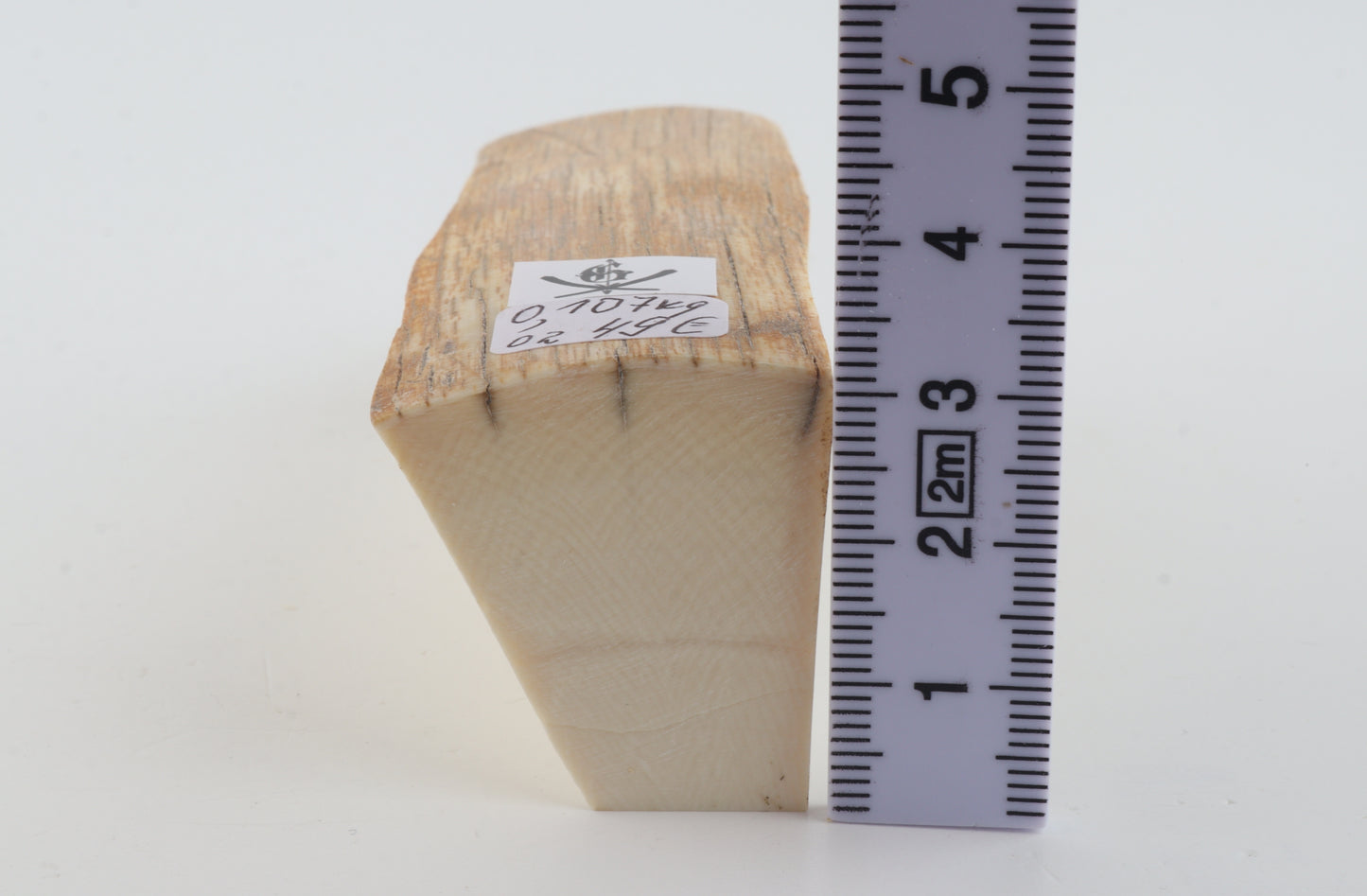 Natural mammoth ivory piece