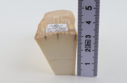 Natural mammoth ivory piece