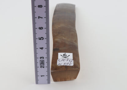 Beige-brown mammoth bark