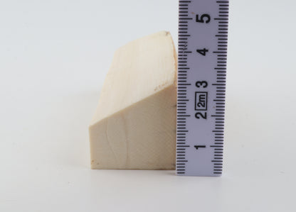 Natural mammoth ivory piece