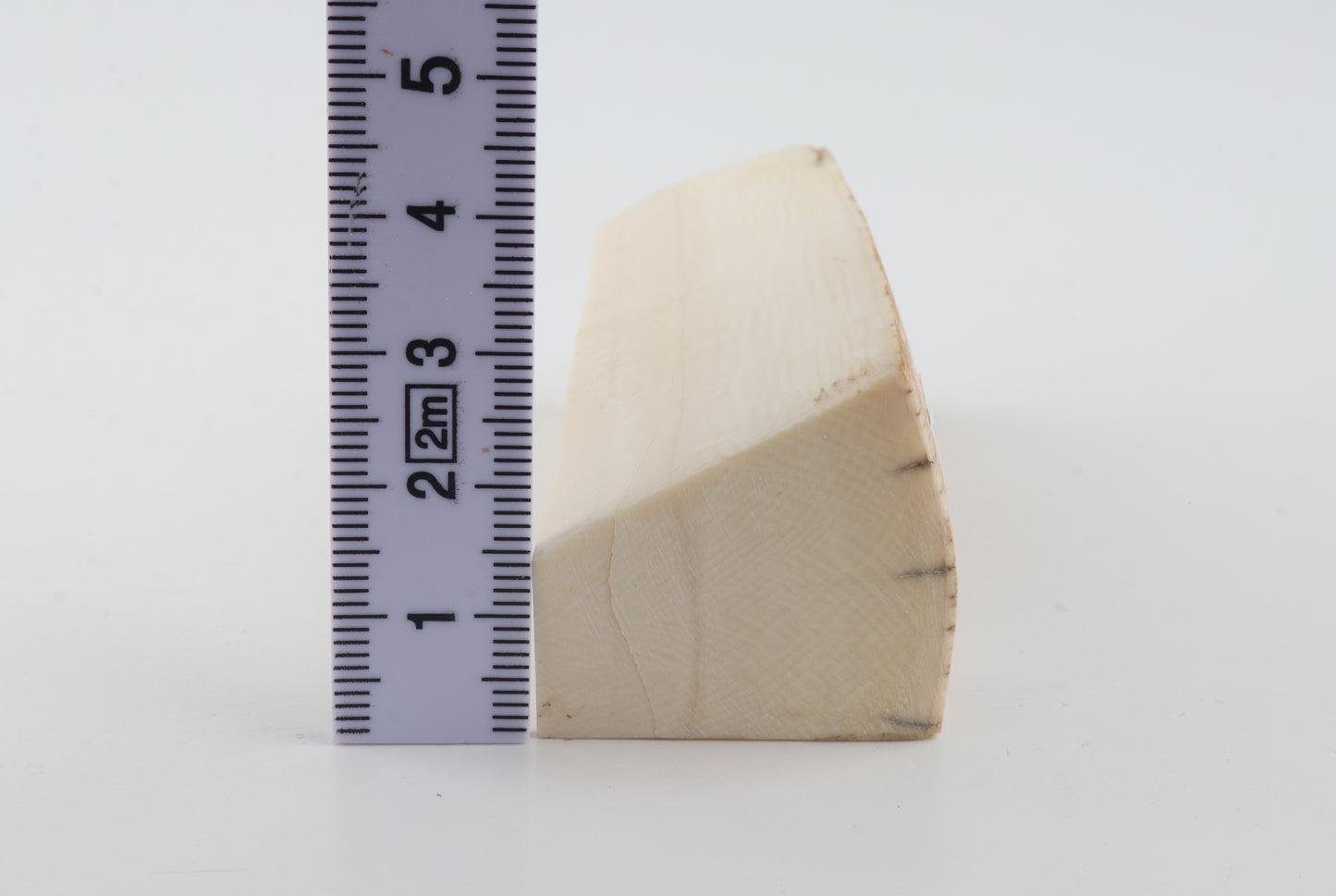 Natural mammoth ivory piece