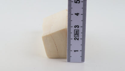 Natural mammoth ivory piece