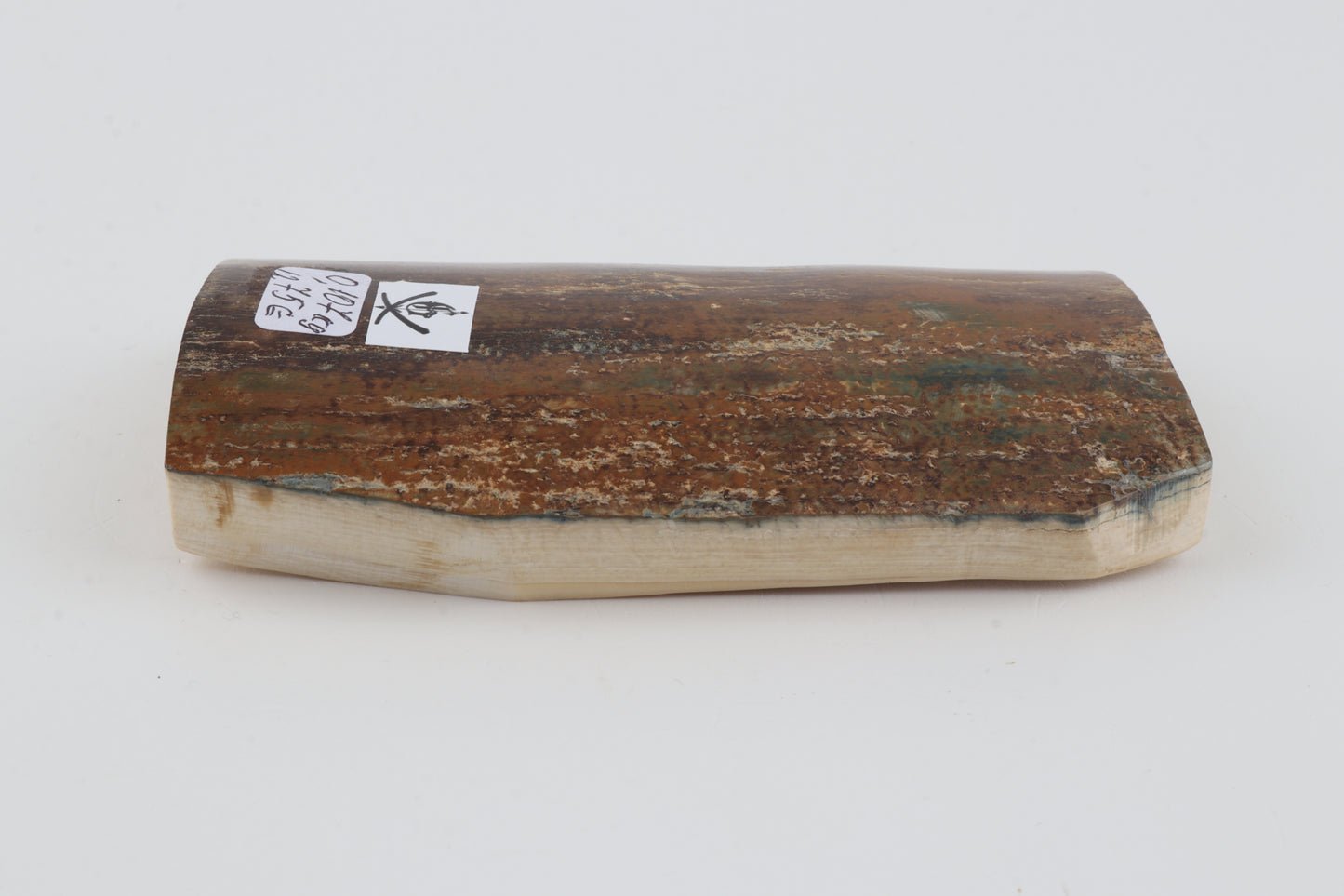 Brown-mustard mammoth bark