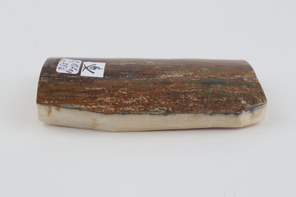 Brown-mustard mammoth bark