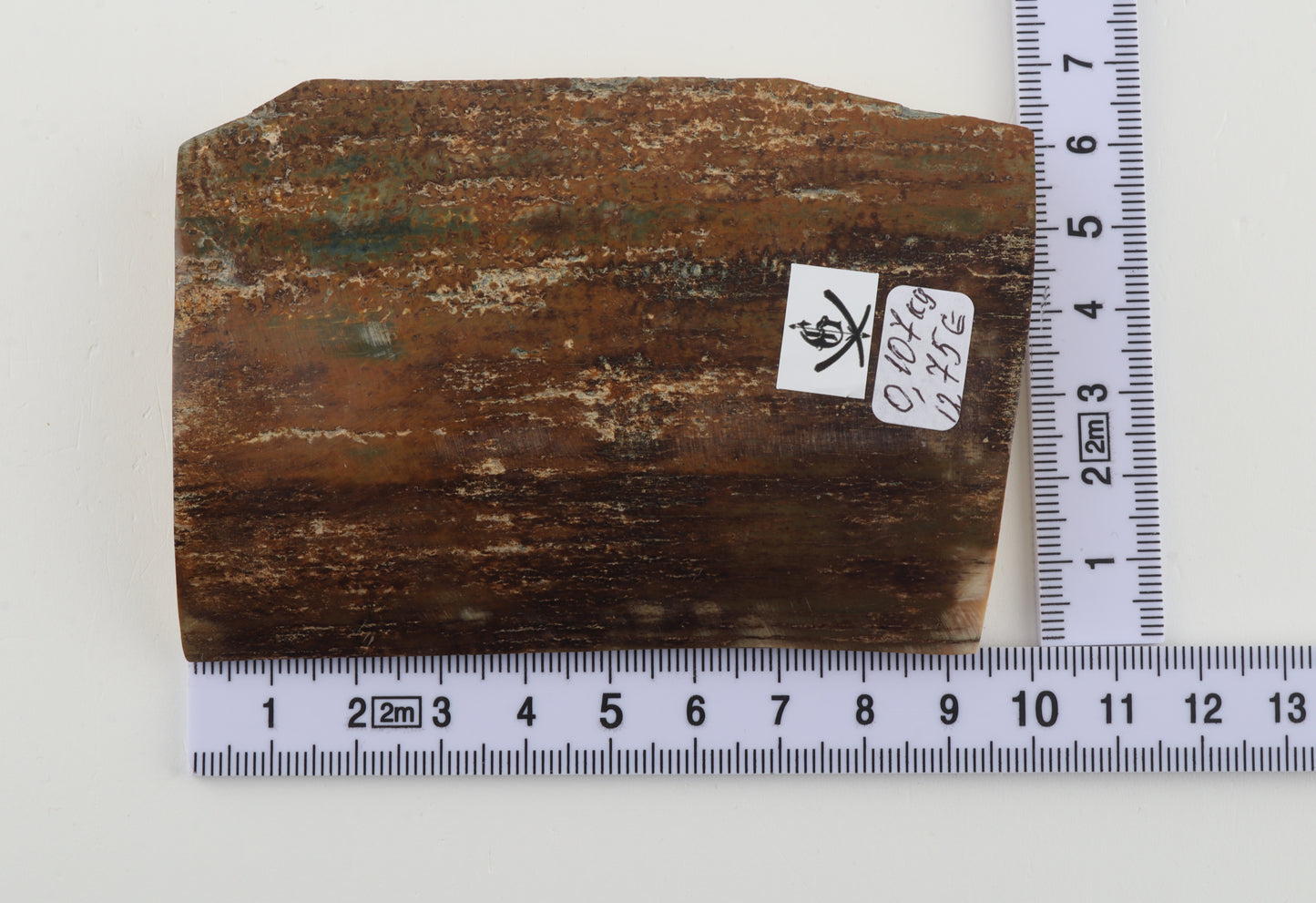 Brown-mustard mammoth bark