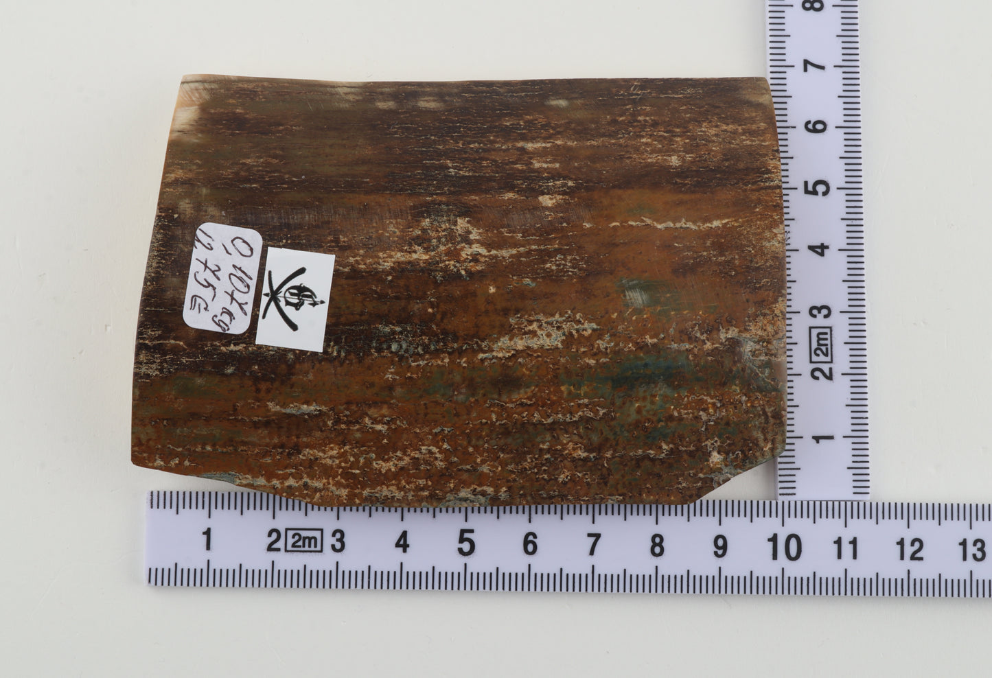 Brown-mustard mammoth bark