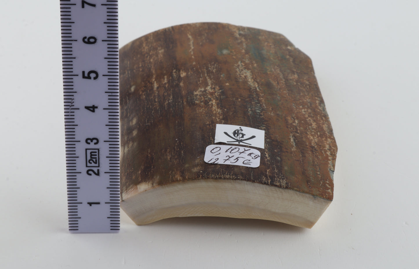 Brown-mustard mammoth bark