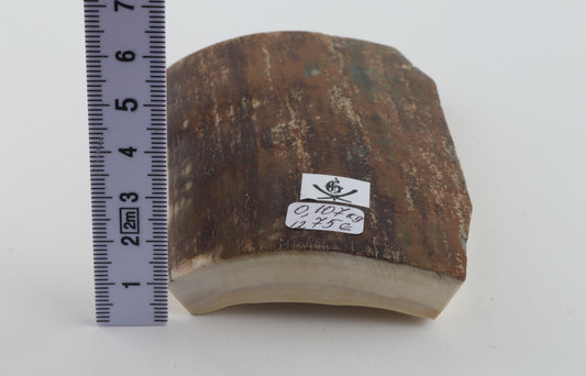 Brown-mustard mammoth bark