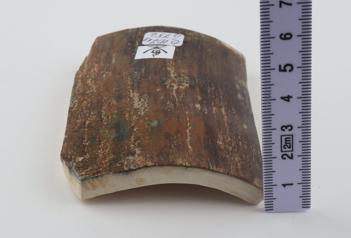 Brown-mustard mammoth bark