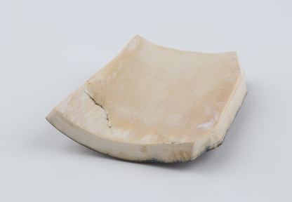 Brown-mustard mammoth bark