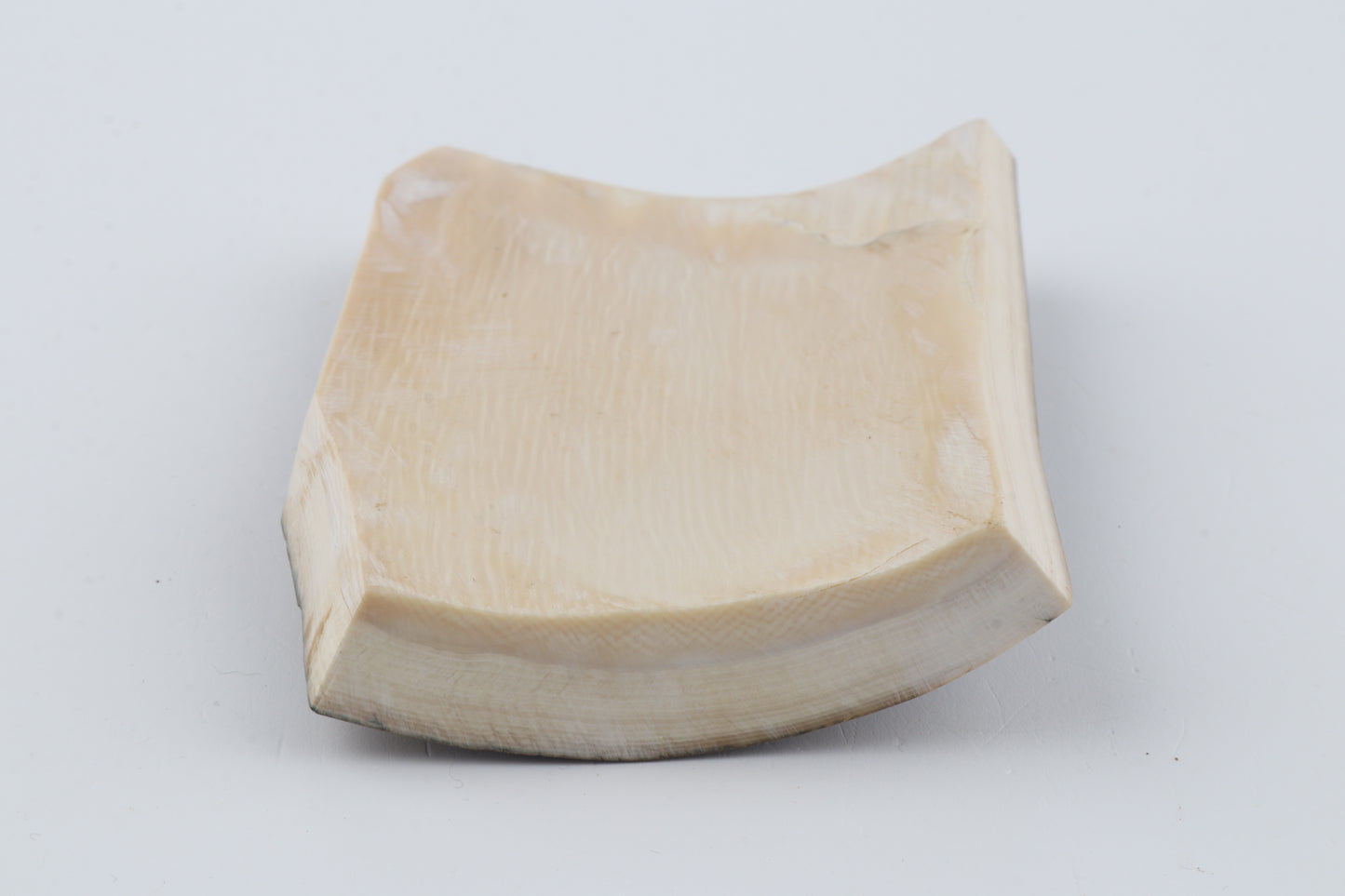 Brown-mustard mammoth bark