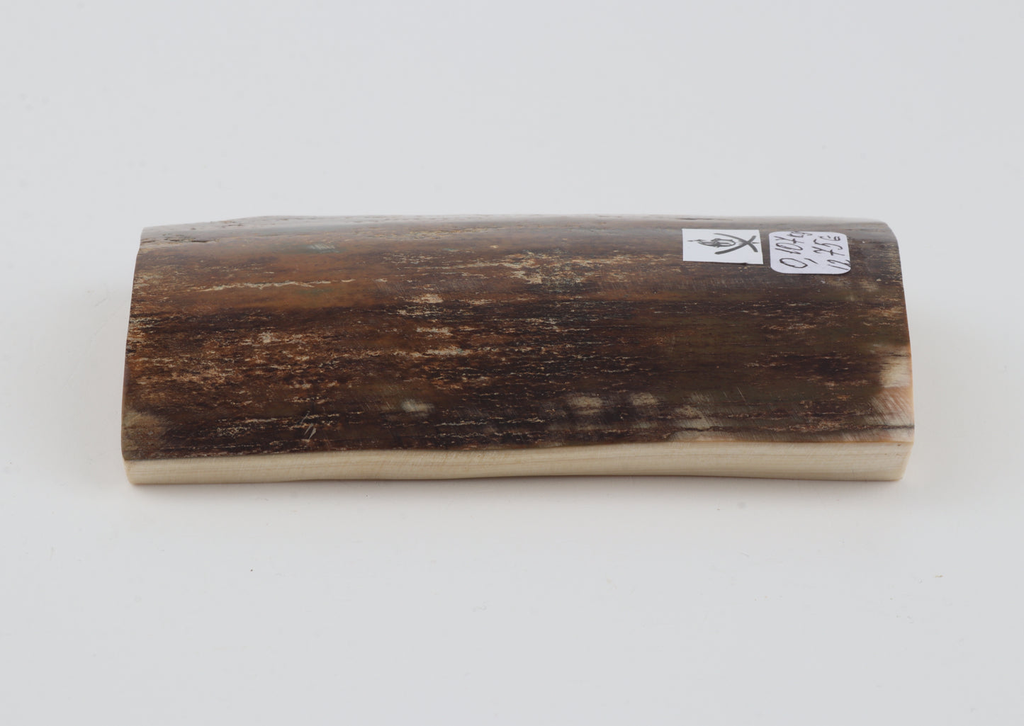 Brown-mustard mammoth bark