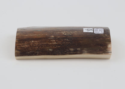 Brown-mustard mammoth bark