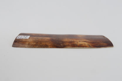 Brown-orange mammoth bark