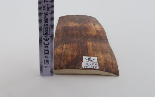 Brown-orange mammoth bark