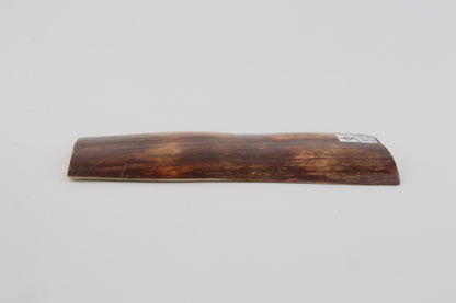 Brown-orange mammoth bark