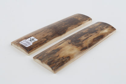 Natural mammoth bark scales