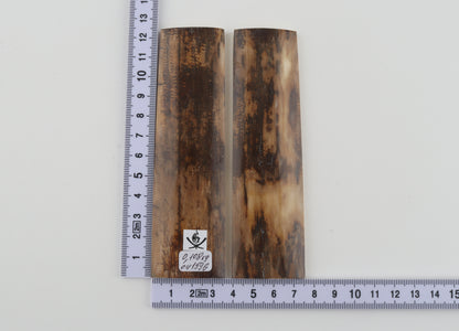 Natural mammoth bark scales