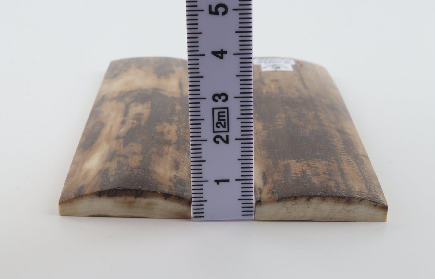 Natural mammoth bark scales