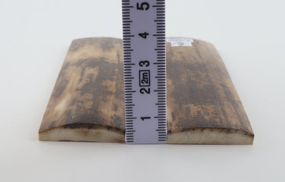 Natural mammoth bark scales