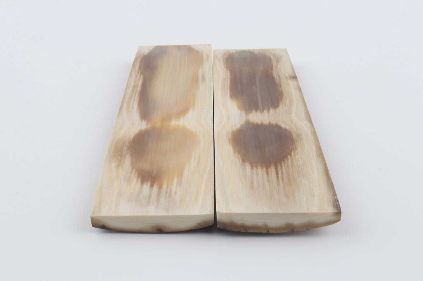 Natural mammoth bark scales
