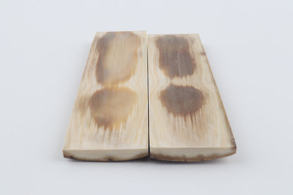 Natural mammoth bark scales