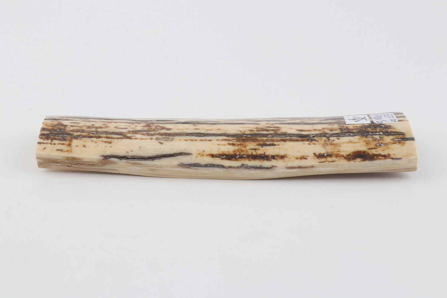Brown-white mammoth bark