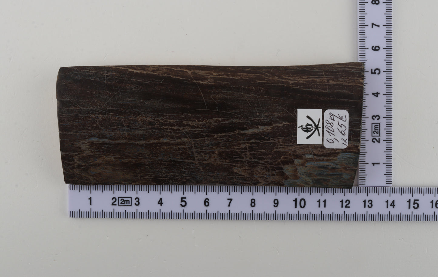 Brown mammoth bark