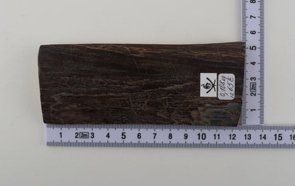 Brown mammoth bark