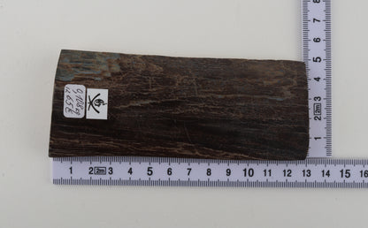 Brown mammoth bark