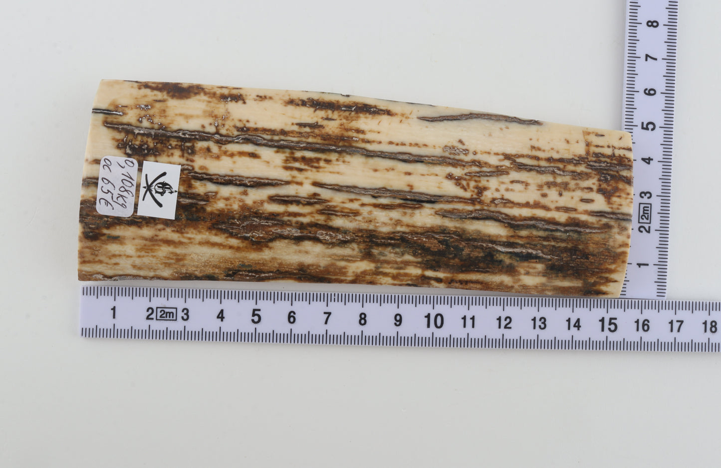 Brown-white mammoth bark