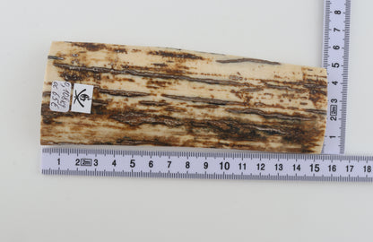 Brown-white mammoth bark