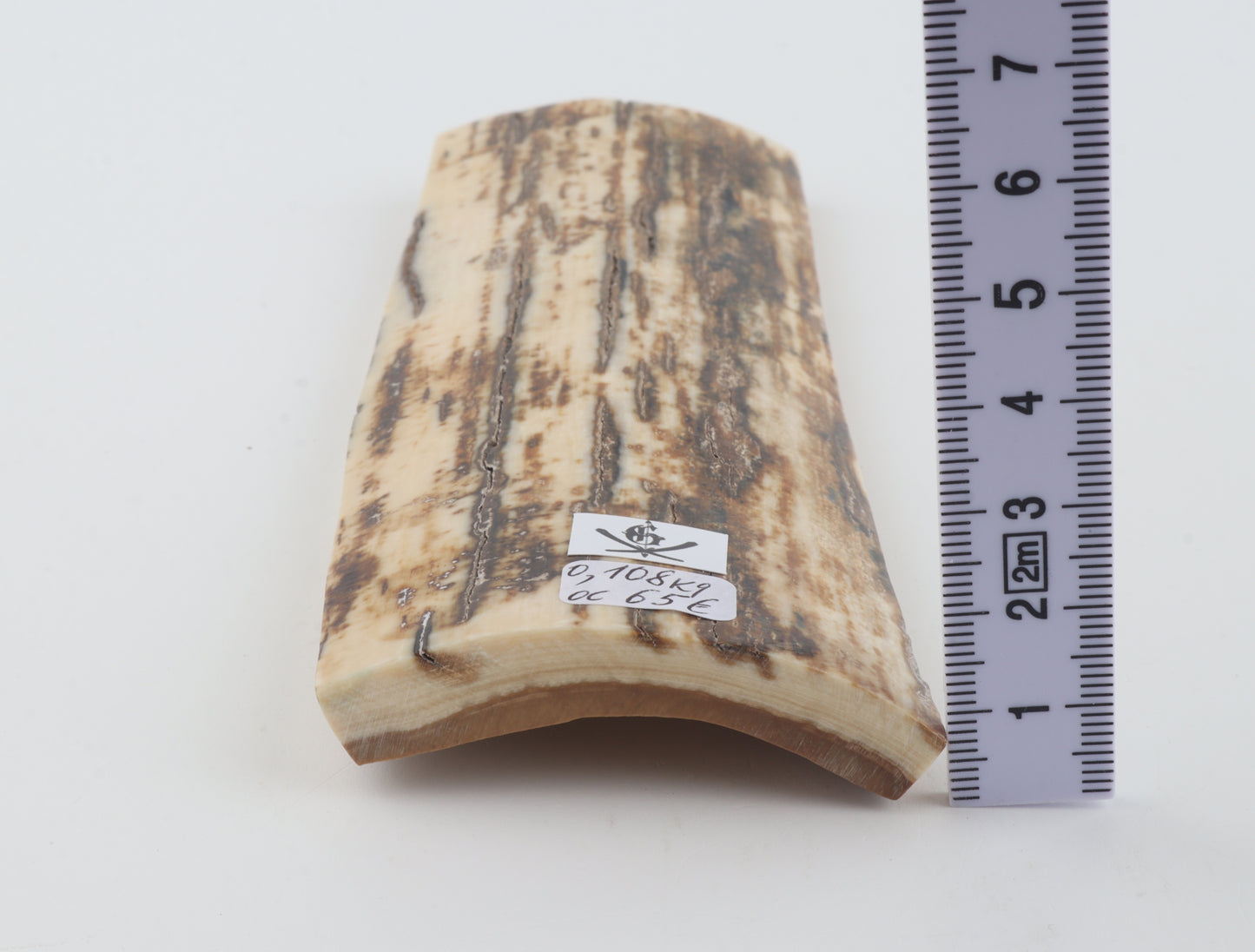 Brown-white mammoth bark